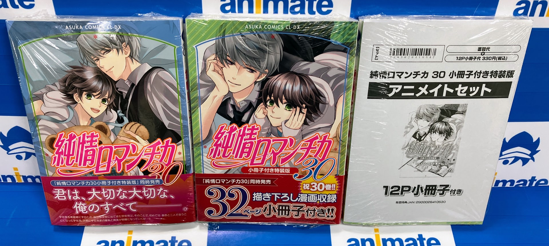 BL アニメイト特典小冊子 リーフレットまとめ売りセット BL アニメイト特典小冊子 リーフレットまとめ売りセット BL漫画