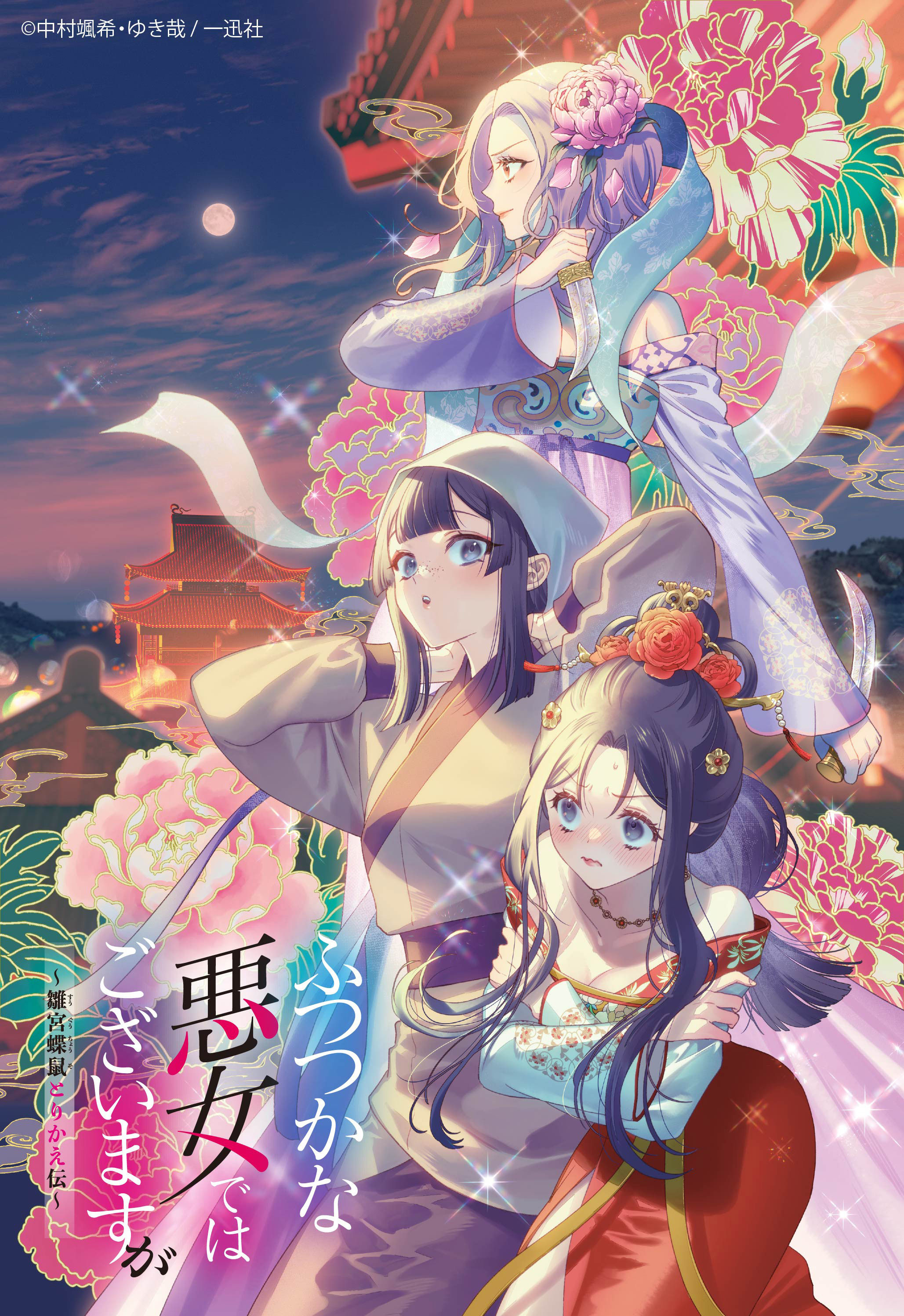 イルジメ［一枝梅］ コンプリートBOX［11枚組］ イルジメ［一枝梅］ コンプリートBOX［11枚組］