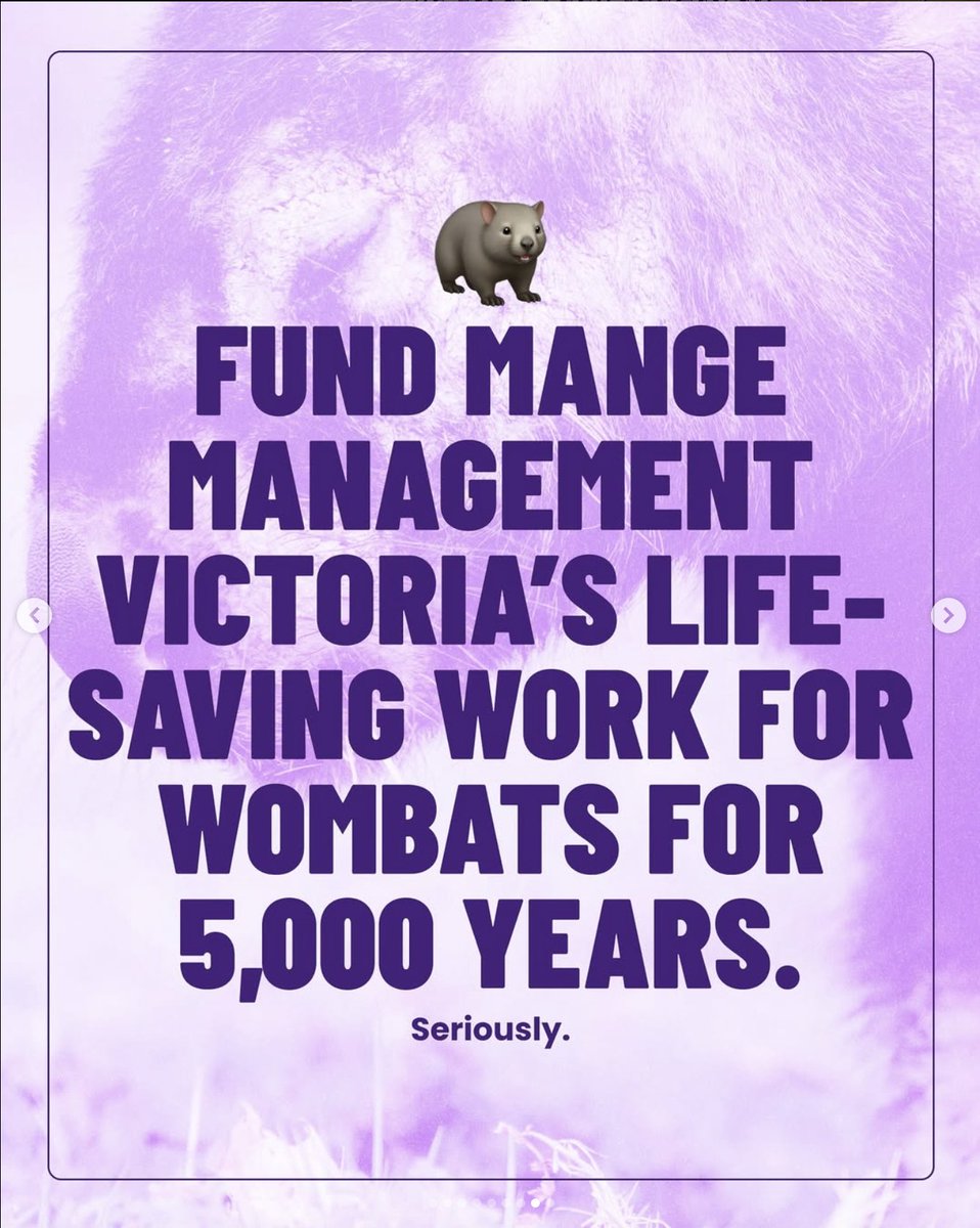 DOG RACING BAN = OVER $500m SAVED 💸💰 

Over 10 years the Victorian government could save over $500 million if it stopped subsiding the bloodsport of greyhound racing...

That money could instead be spent on...

#AusPol #AusPol2025 #AusPol25 #AnimalWelfare #BringBacktheBan