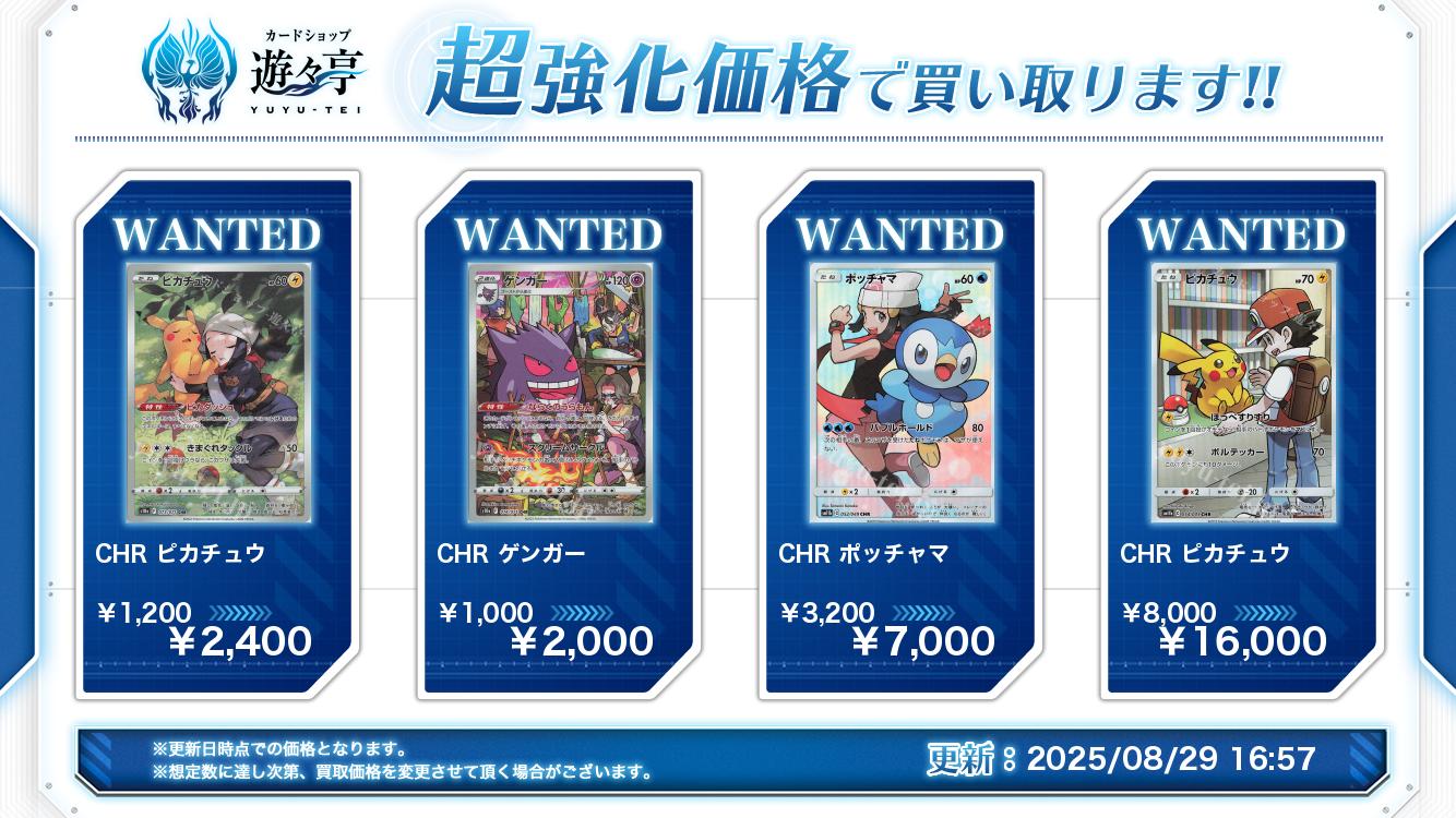 ポケモン - ポケモンカード　ピカチュウ　ポッチャマ CHR 1067001039988145_01_2525.jpeg