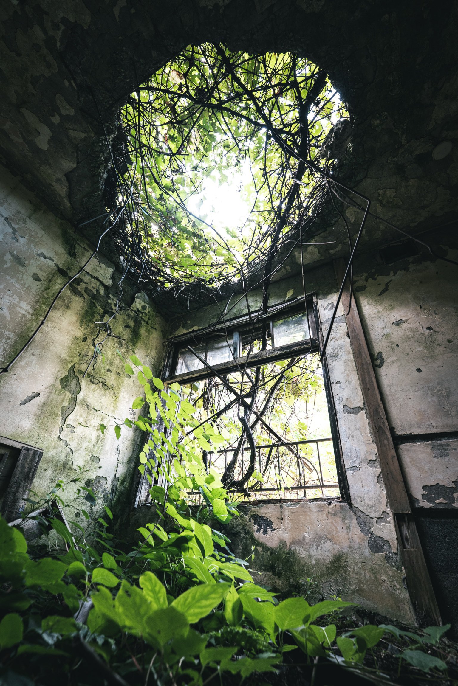 esowと川　『廃屋』 esowと川 『廃屋』 Saho 𝕏 廃墟と街並み (@urbex_34) / X