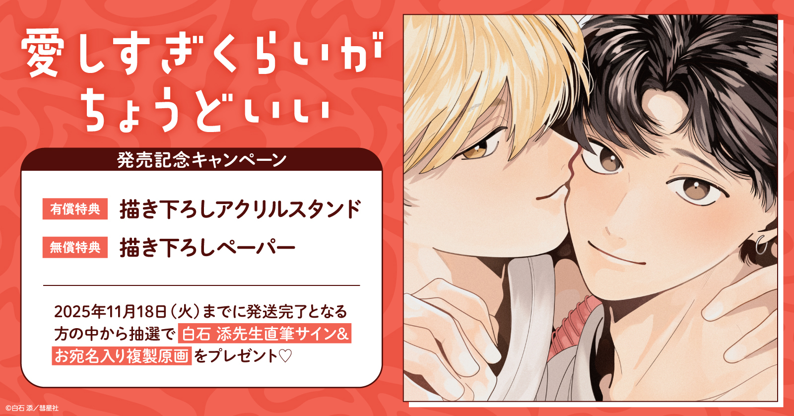 わたしの完璧な秘書 サイン入り フライヤー Amazon.co.jp: あらき nqrse サイン ポストカード なるせ ARAKI