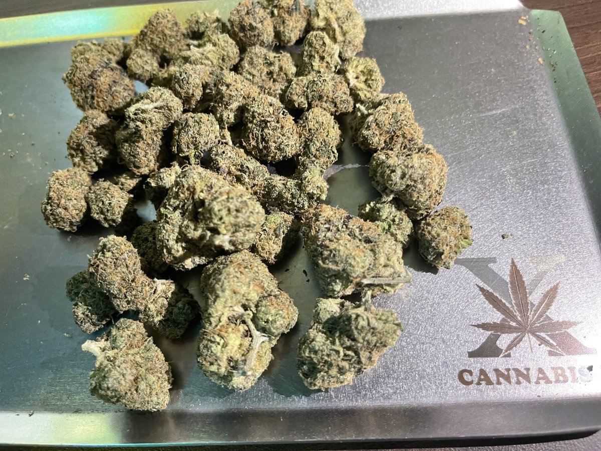 CannabisXTh's tweet photo. β¨ Just touched down: Ancient Magickz πΏ
A rare collab from Malibu x Wizard Trees, now part of our exclusive Cali pack imports in Bangkok. Premium genetics, next-level flavor, unforgettable smoke. @MalibuFarmers
#CaliPack #Import #Malibu #WizardTrees https://t.co/XnW0PdwZRc
