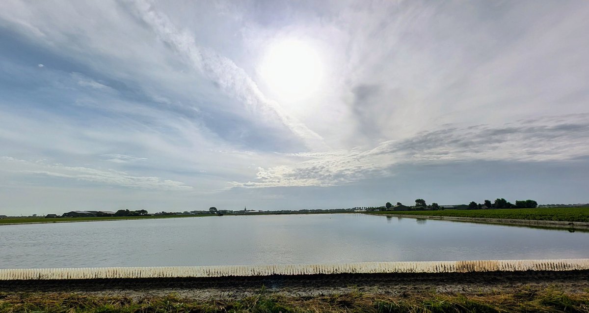 De boeren zetten het land onder water ipv. Gif.
#Julianadorp
#Zomer #RTL #weerfoto
<a href="/weerverteller/">Weerverteller.nl</a>⁩ <a href="/BuienRadarNL/">Buienradar</a> <a href="/weermanrobert/">➡️ Robert de Vries</a> ⁦<a href="/MeteoVoorne/">Meteo Voorne Aan Zee</a>⁩ ⁦<a href="/janvissersweer/">JAN VISSER</a>⁩ ⁦<a href="/Weerplaza/">Weerplaza.nl</a>⁩ ⁦
<a href="/ONWUKAAMAR69690/">Makuochukwu</a> <a href="/HartvNL/">Hart van Nederland</a>