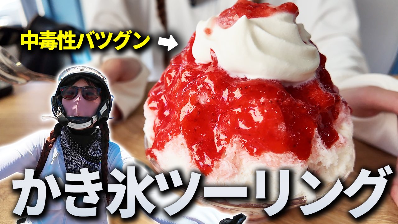 にゃんちゅー あほのさかた on X: 