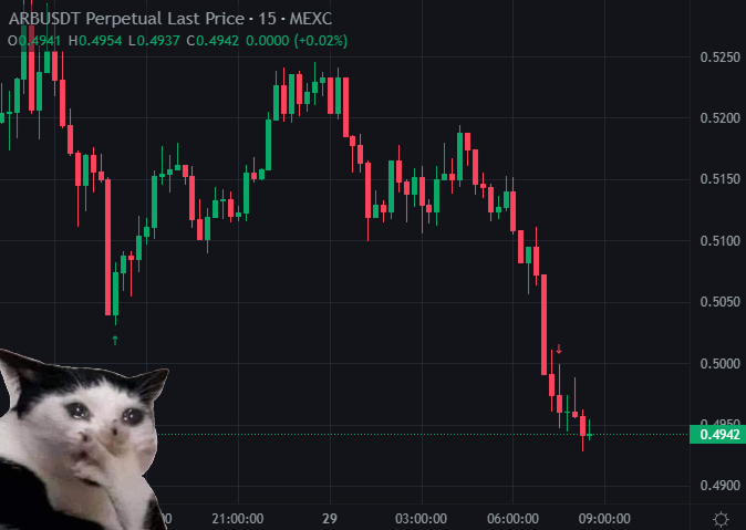 $100 Challenge | Trades #19 &amp; #20 Update ❌

Balance: $69

Seems like there's a curse on me 😂 every time I go to sleep, my positions flip the other way. Both $ARB and $HYPE longs hit SL overnight, even though they looked solid before bed. Not great, balance is now down to $69.