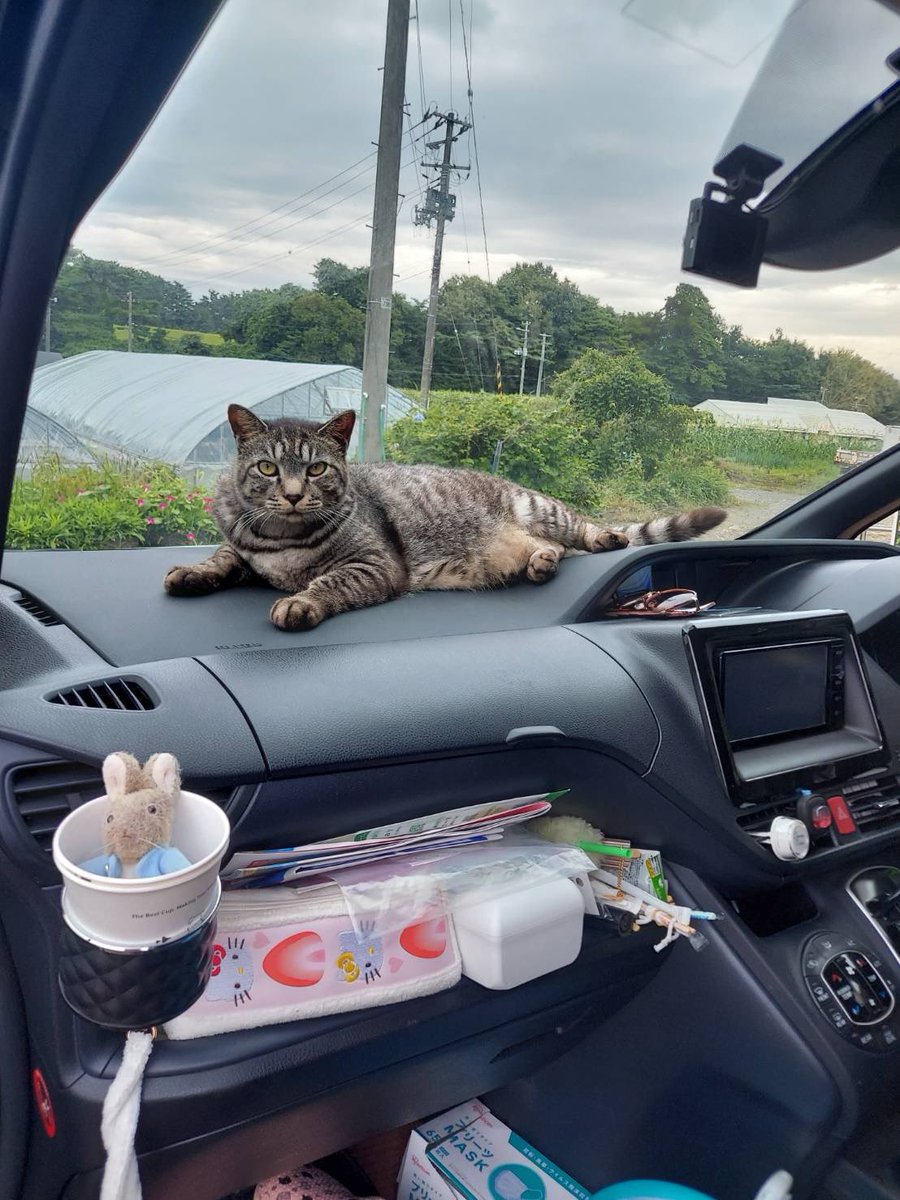 なんで先に乗ってんだよ

病院までドライブしてやろうか！！