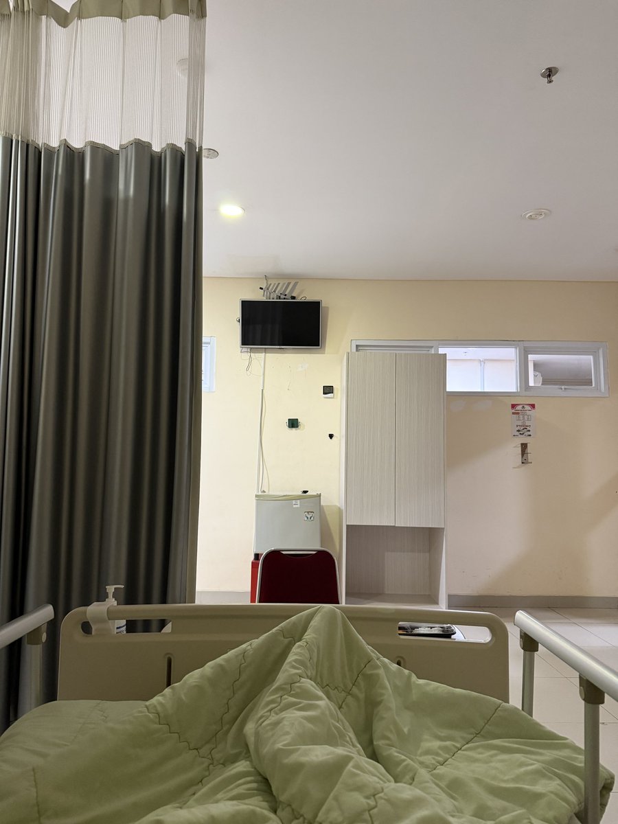 putranicholas1's tweet image. Perdana