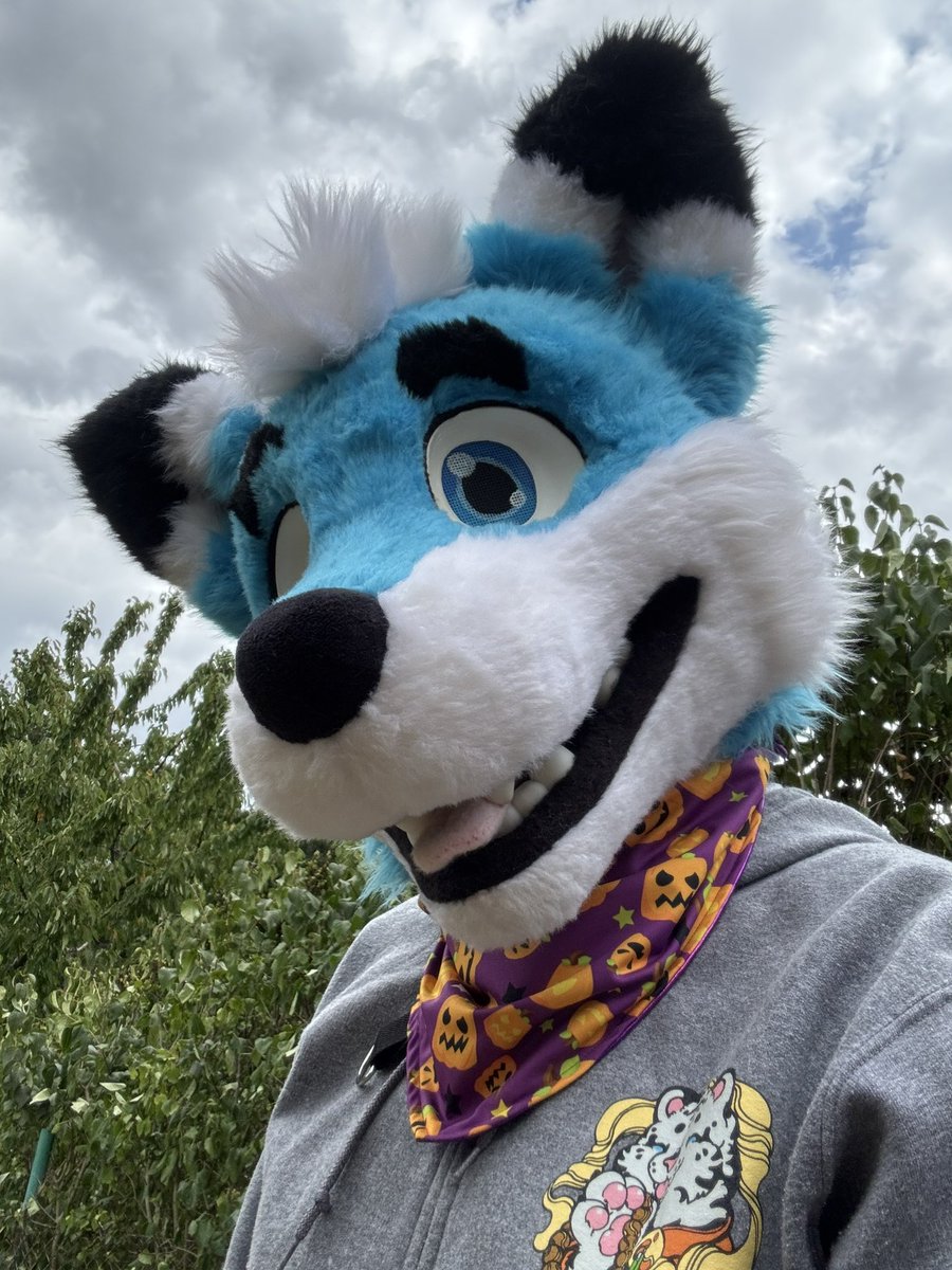 Felt cute, might deleting it later.
Sorry for my inactivity. 
I have been dealing with many things in my personal life.
I wasn’t really in the mood to post the something. 
Happy #fursuitfriday after a while. 
I hope everyone is doing well. 
Who I’ll see next week at furrstein? 👀