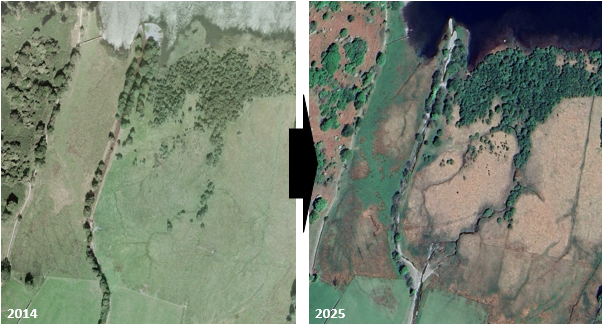 Dynamic_Rivers's tweet image. Kirkstone Beck above Brotherswater, formerly a lake fan system, historically straightened, embanked and revetted. Chute channel cutting has rejuvenated this feature re-occupying palaeo-distributaries and wetting wide swathes of the fan. Well done (again!) to the National Trust.