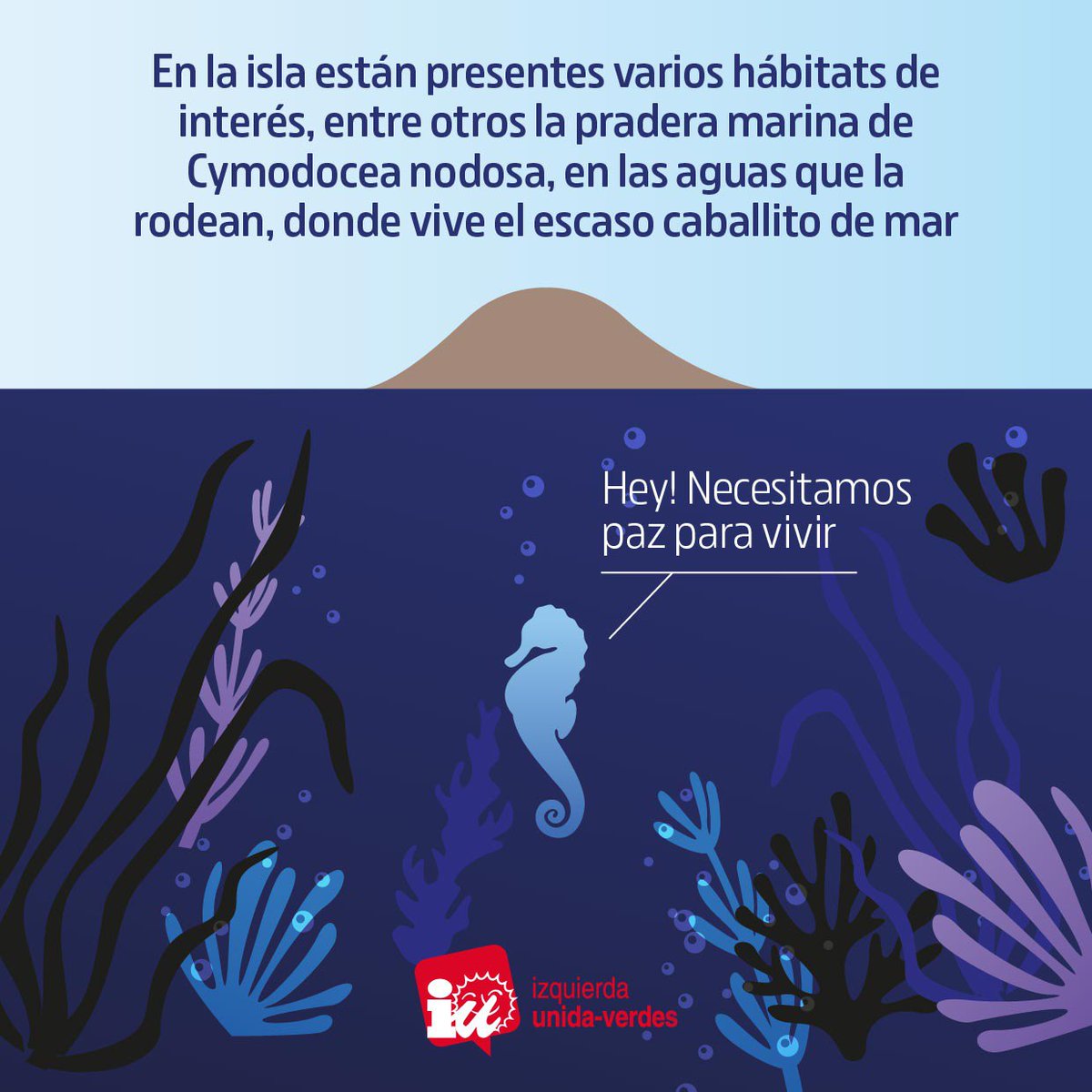 En 4 sencillos pasos, aquí se explica porqué la isla del Ciervo es importante y se debería proteger de manera real. 

2025 debería ser el último verano con fondeos ilegales en el entorno de este islote del Mar Menor 

Vía <a href="/Cris_Morano/">Cristina Morano🔻</a>