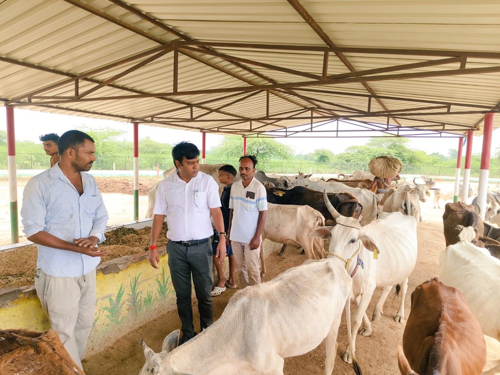 अस्थाई गौशाला विकासुरग्रंट का निरीक्षण किया गया। #bdomishrikh #cdositapur #dmsitapur