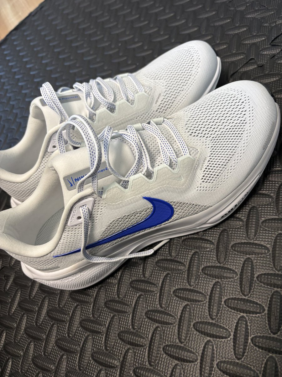 fourleafharmony's tweet image. ペガサス41
セールしてて購入しました。

、、、すごく、良い！！

39からの履き替えです。

すごいイイ👍

北海道マラソン無事に終わったら、秋に向けてしっかり走りたいです。