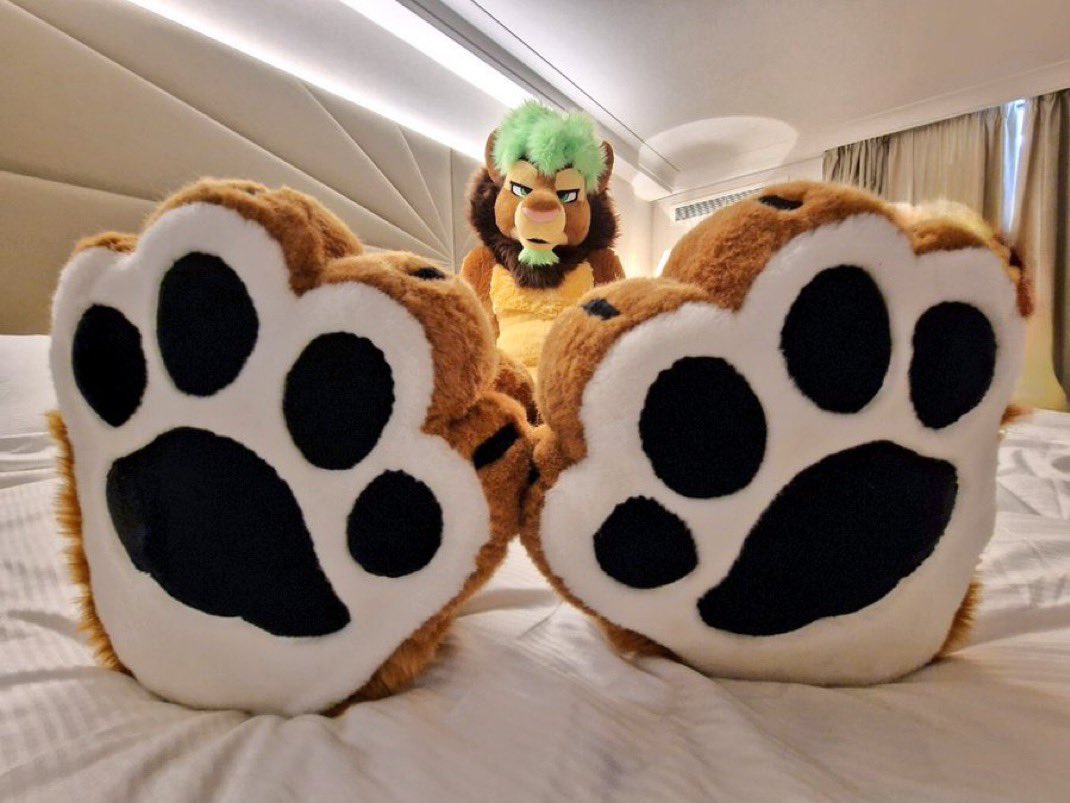 Oh, it’s #Pawgust and #FursuitFriday 

I guess I know what I got to do then! Paws paws paws!!! 🐾🦁💚🐾🦁💚