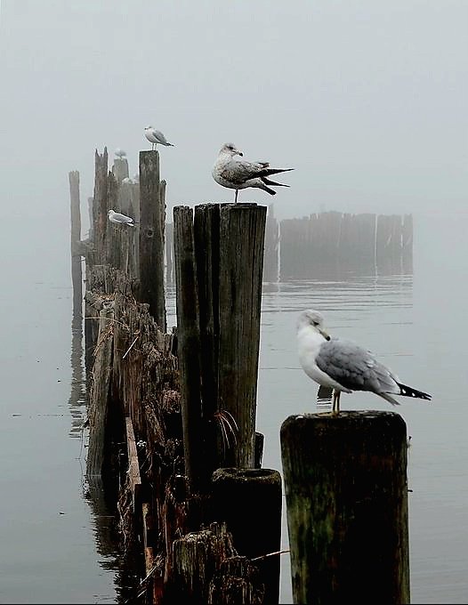 Semo (@designsemo) on Twitter photo 