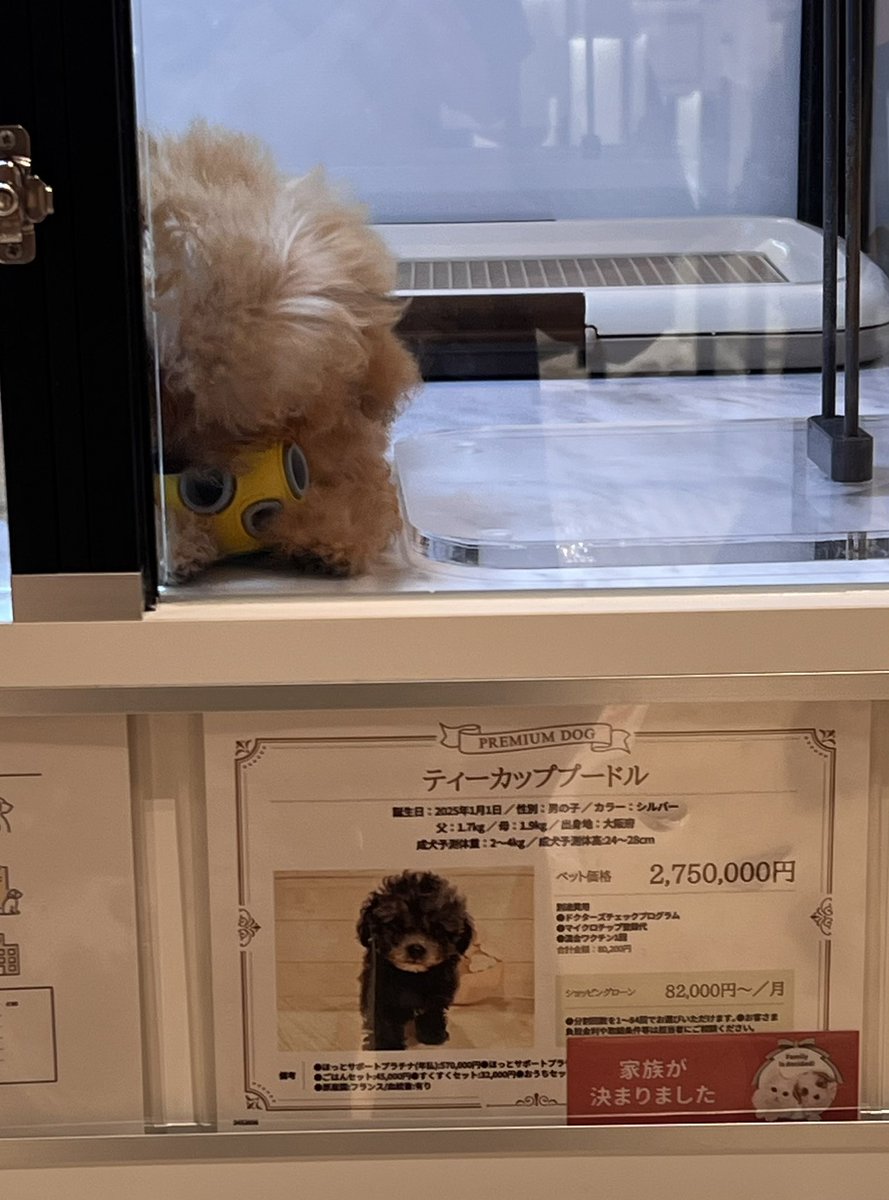 さすがセレブの街😳