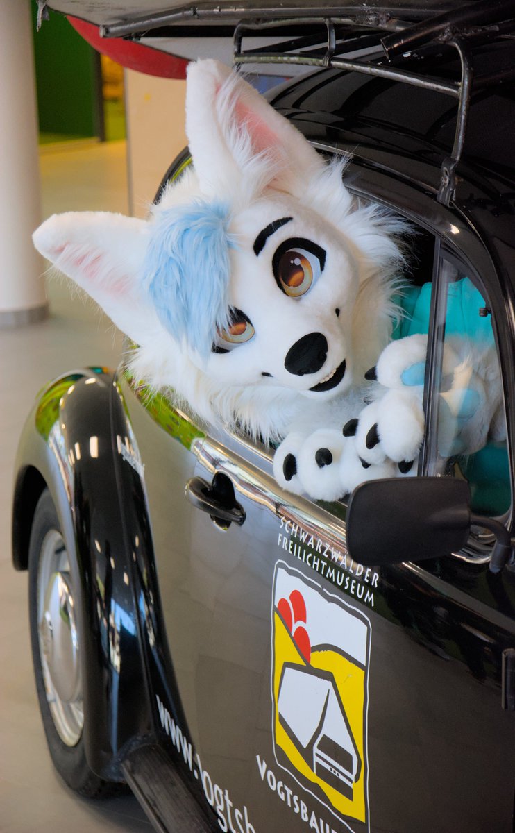 Hop in, we're driving to #FursuitFriday !

📸 <a href="/Oposum8/">Oposum🔜 JmoF</a>