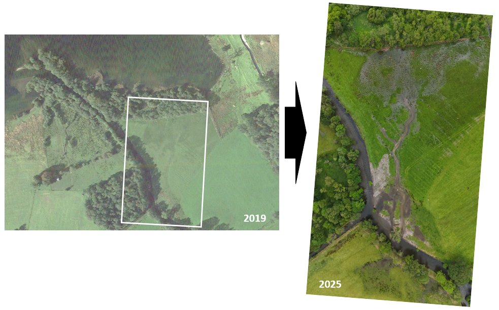 Dynamic_Rivers's tweet image. Another lake fan rejuvenation by the National Trust, this time on Goldrill Beck entering Ullswater. 
Simple principle applied: chute induced palaeo-distributary rejuvenation. Spectacular rewetting, even into the lake margin wet woodland. 
Minor intervention-MAJOR and rapid gains.