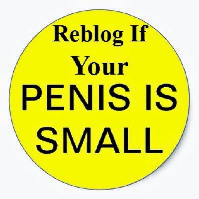 Timorousbeasty (@timorousbeasty1) on Twitter photo 