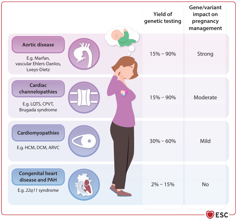 CardioTeca tweet media