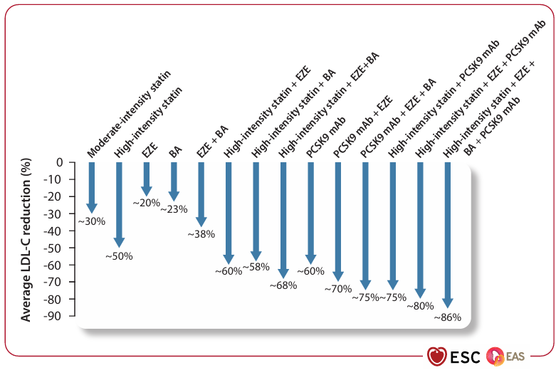 CardioTeca tweet media