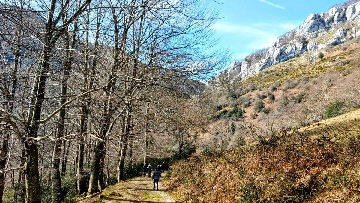 Routes, nature and churches in Aizkorri-Aratz🚶🌻

Straddling Gipuzkoa and Álava provinces, this nature park is full of different natural settings.

📍You can get there from the sanctuary church of Arantzazu, perched over an impressive gorge.

👉 ow.ly/QMpW50WMHol