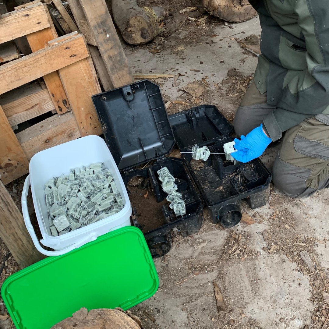 💡 Top tip! Check your bait points after heavy rain.

Moisture can spoil bait and reduce   effectiveness – especially in rural or outdoor settings.
Swap out old bait and ensure stations   are weatherproofed where possible.