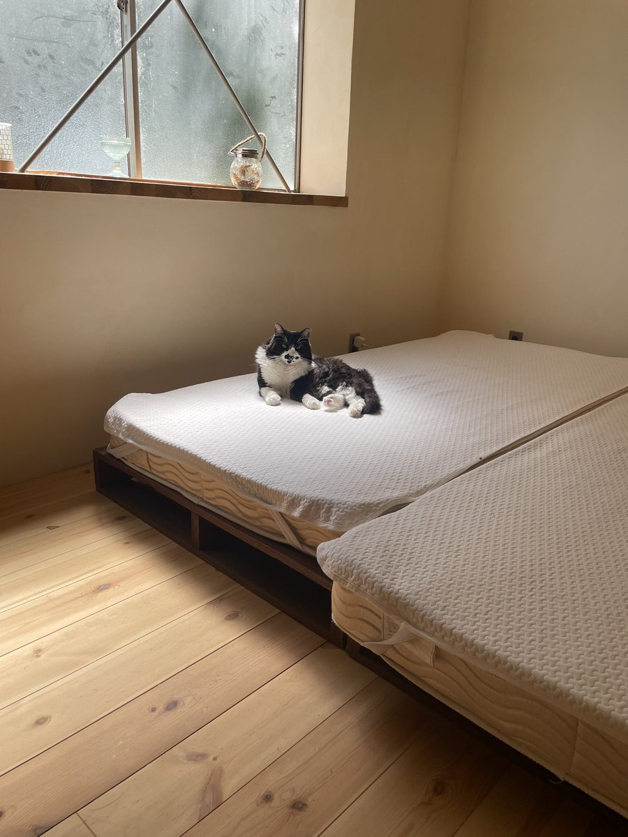 らいおん丸 (@lionmaru_046) / Posts / X