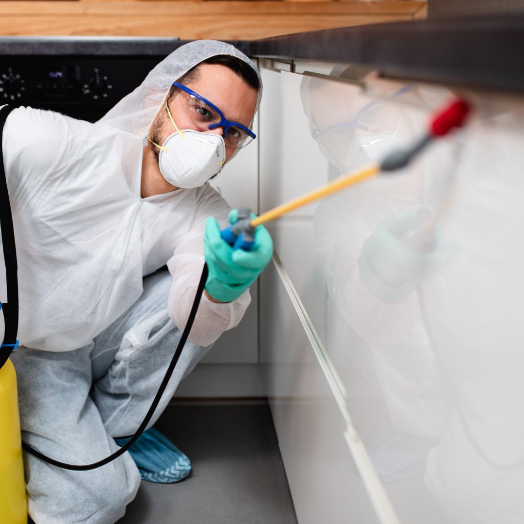 🎉 What’s been your biggest pest control win this   year? 🎉

Tackling a tricky site? Discovering a smart solution? Winning a new   contract?
We love hearing your success stories – drop them in the comments  😉