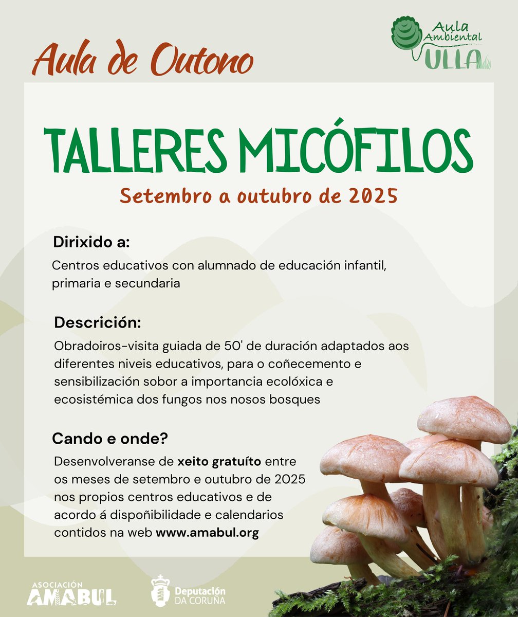 asocamabul's tweet photo. 🍄🍄 Chega a edición 2025 dos Talleres micófilos para centros educativos da provincia; proxecto subvencionado pola @Depucoruna 

📝 Máis info e inscricións en https://t.co/CAt7KPfyh4 https://t.co/ll7tS59oEh