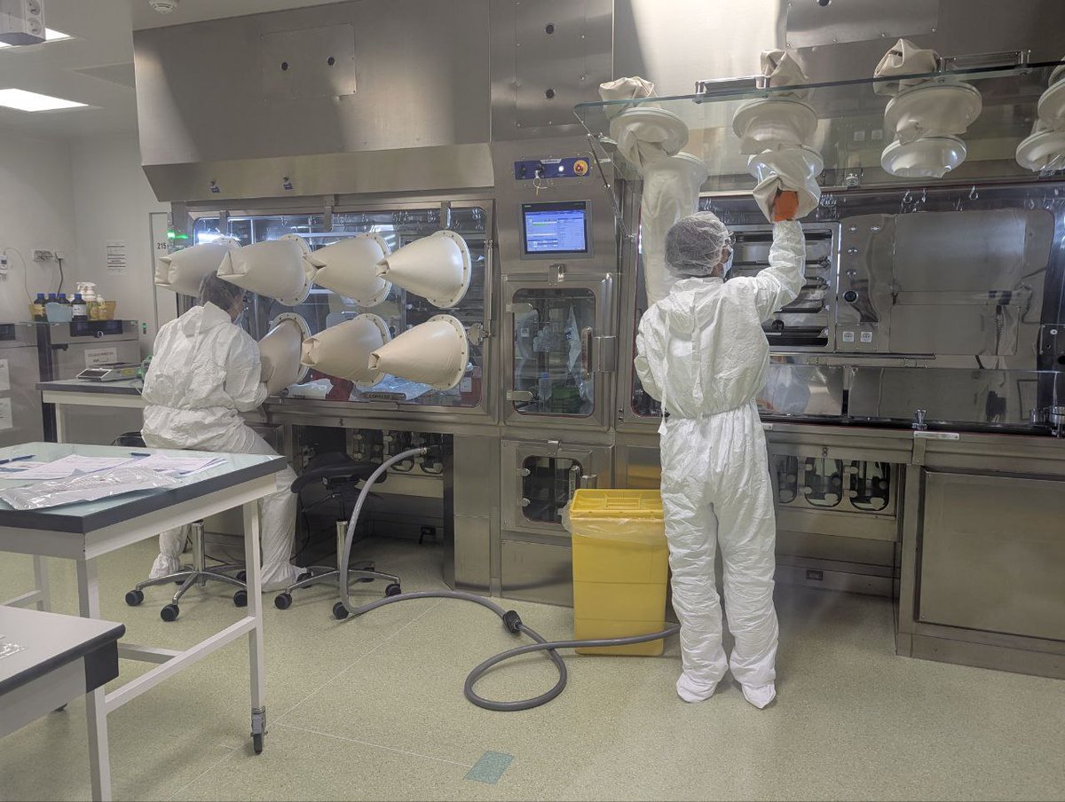 🔬C'est une potentielle révolution dans le traitement des cancers : Pour <a href="/RTLFrance/">RTL France</a>, je me suis rendue dans les laboratoires de la biotech française <a href="/TransgeneSA/">Transgene</a>, où l'on développe un vaccin pour empêcher les récidives des cancers de la tête et du cou.
⬇️
rtl.fr/programmes/rtl…
