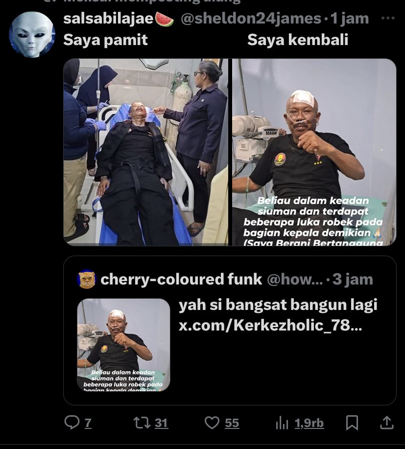 Bitterisweetii🐈‍⬛🐶 tweet media