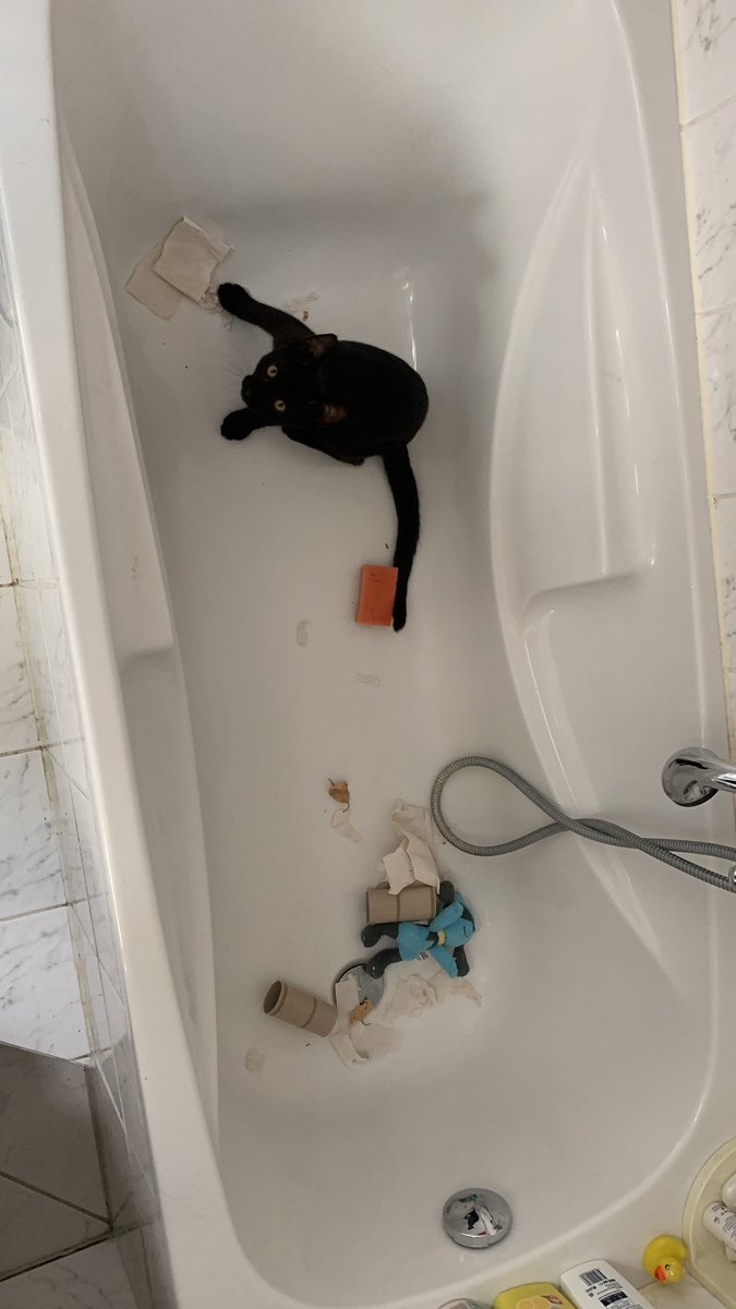 Bro denkt spielplatz was holt der da alles rein???