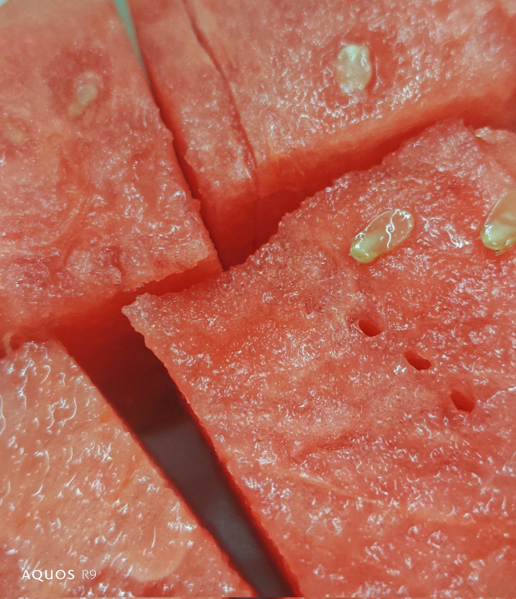 菇菇揪 (@we_nassean) on Twitter photo 