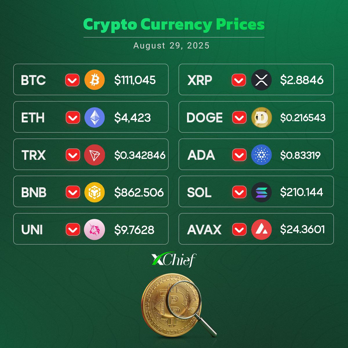 xChief_Global's tweet image. #Finance #Forex #Crypto #Investing #BTC