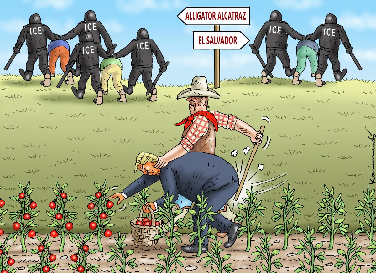 Marian Kamensky (@mariankamensky1) on Twitter photo HARVEST HELPER TRUMP HARVEST HELPER TRUMP