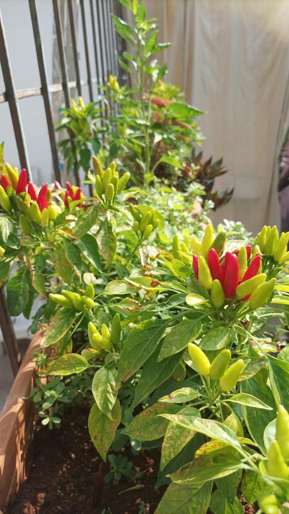 Nerden yanlış yapıyoruz bilmiyorum ...
Çalıştıkça borcumuz artıyor  amk!!