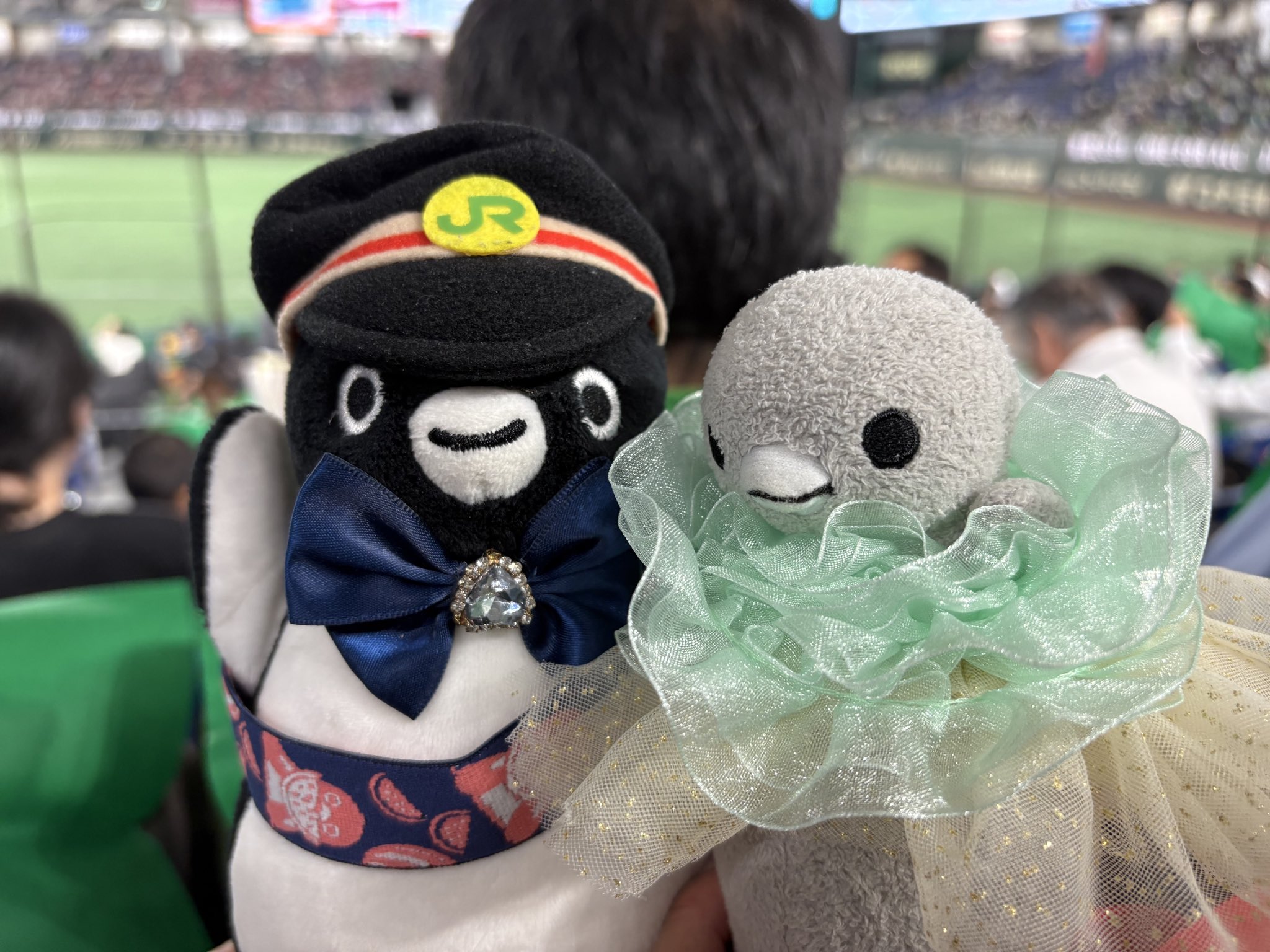 ペンギンちゃん 土日休み　 Amazon.co.jp: アドベンチャーワールド限定 コウペンちゃん
