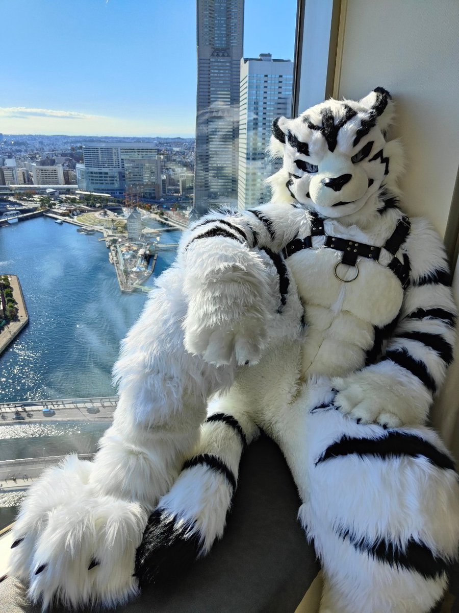 oyupon1's tweet image. #FursuitsFriday