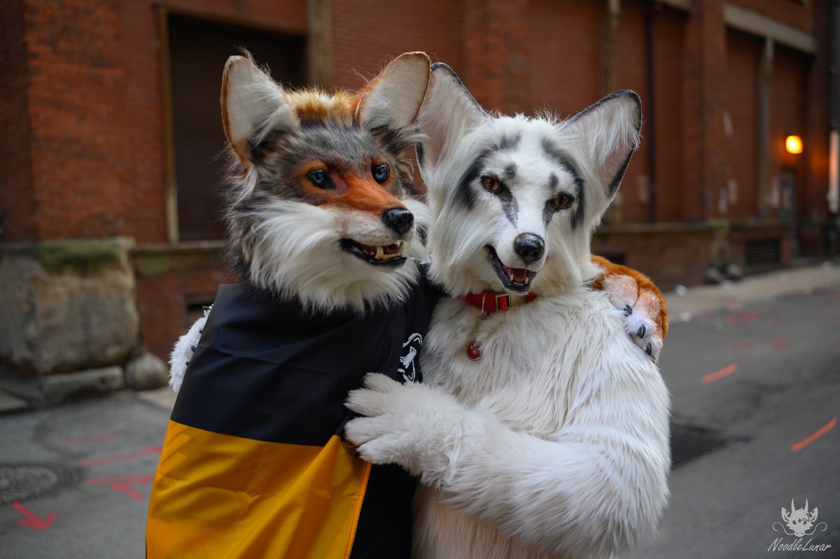 It's #FursuitFriday in my <a href="/Kitavos_DE/">Kitavos 🇩🇪 🔜 EF 🇩🇪</a> suit

✂️ <a href="/yurei_kitsune/">Yurei VF 2023</a>
🐺 <a href="/tobeecoyotee/">Tobee Coyotee</a> ✂️ <a href="/ZulayaWolf/">Melissa Mendelson Art</a>
📸 <a href="/NoodleLunar/">Lunar</a>
🗓 06.07.2025
🏙 #Pittsburgh🇺🇸
🦊 <a href="/anthrocon/">Anthrocon, Inc.</a>

#AC #AC2025 #AC29 #Anthrocon #fursuit #Furry #LovePGH #Berk #Berkwolf #fox

Follow my Berk-News (TG)
t.me/Berk_News