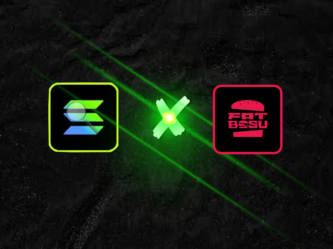 Solana Nft Finder (DAO) tweet media