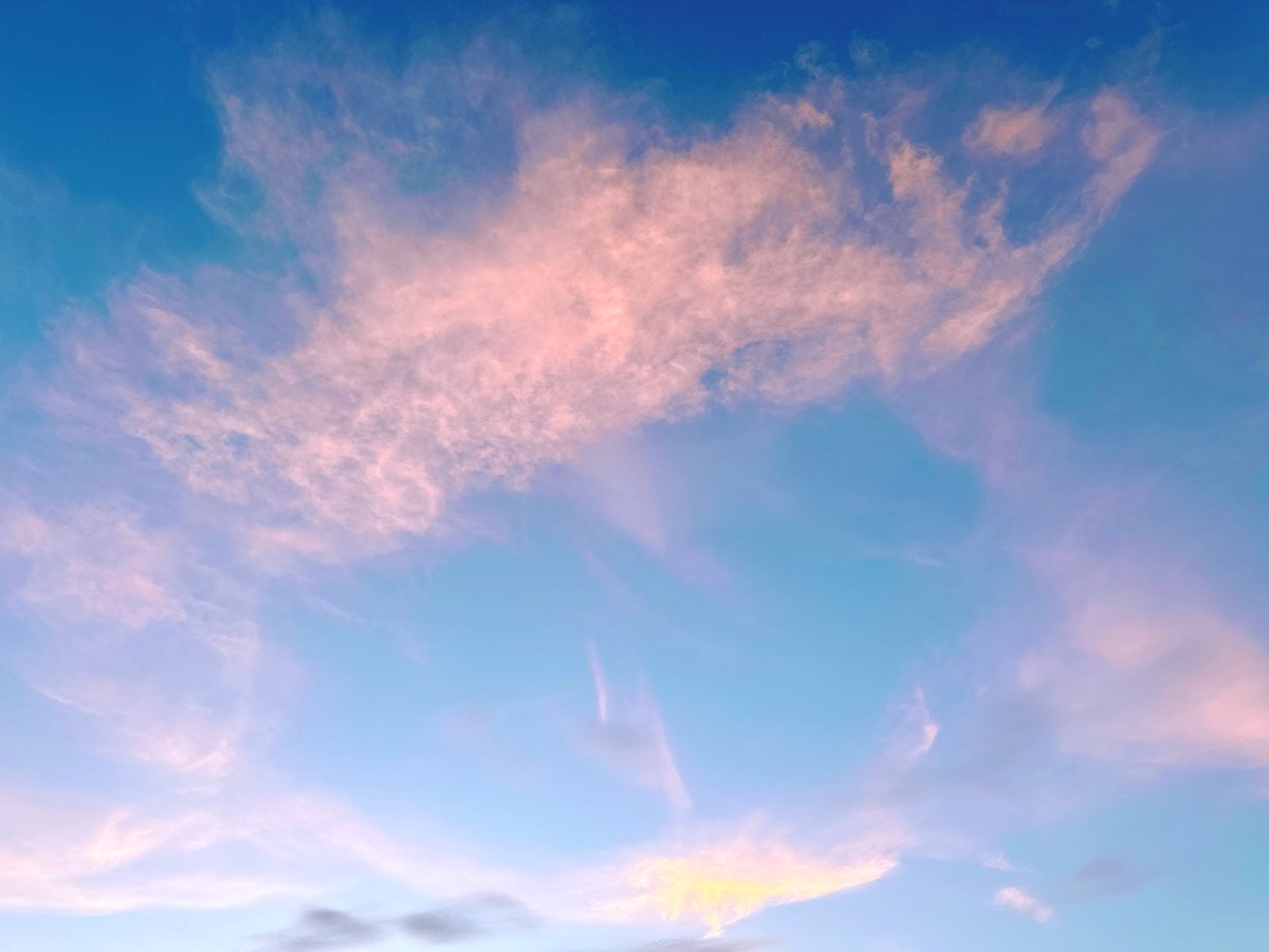 enclgroup's tweet photo. ちょっと外に出てみたら...空がきれいで📷
八潮・三郷エリアのいいとこのひとつ。
空が広い🥺
中の人のワクワクの源です🧡

みなさんの地域のイマソラはどんな感じ？

#イマソラ
#中の人も見上げた空
#空見て一息
#そらと中の人日記
#エンクル #八潮 #三郷 #三郷中央 https://t.co/7eCSqWwITm