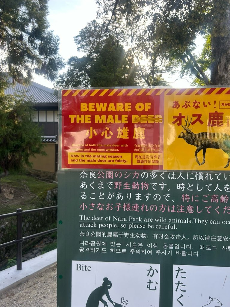 loboTomy1019's tweet photo. beware of the male https://t.co/zpiRcIsczi