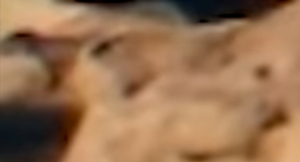 Yuty nation, this could be our chance to finally identify the Mystery Dinosaur! 👀