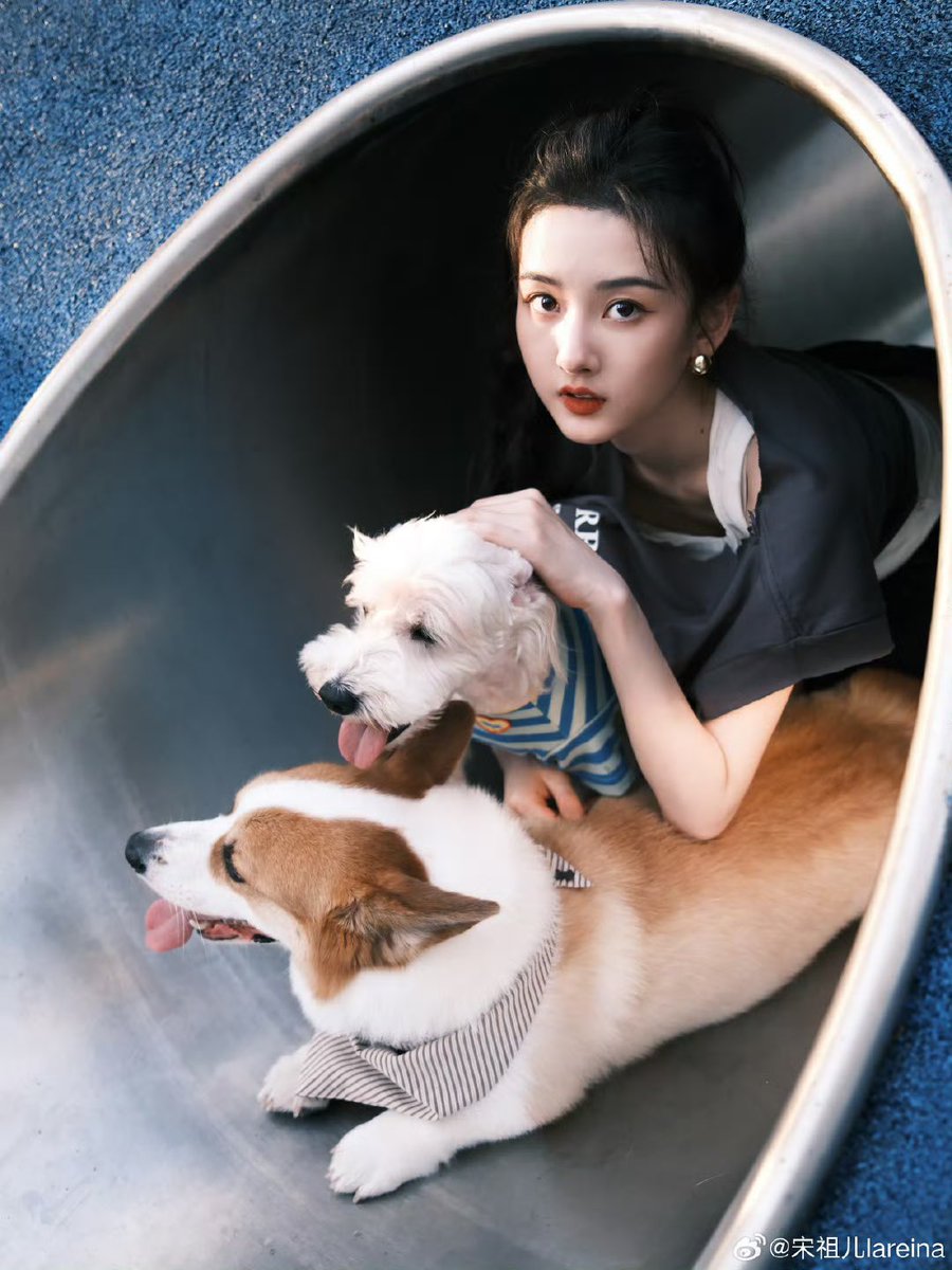 วันชีซีคังคังกับหยวนหยวนได้ออกสื่อทั้งคู่เลย เด็กดีของยายทั้งคู่🩷🐶

#ซ่งจู่เอ๋อร์ #SongZuer #宋祖儿