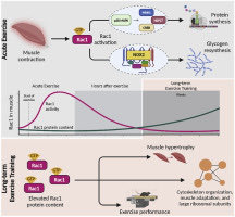 Lykke Sylow tweet media