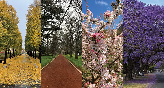 Architecture North Ltd tweet media