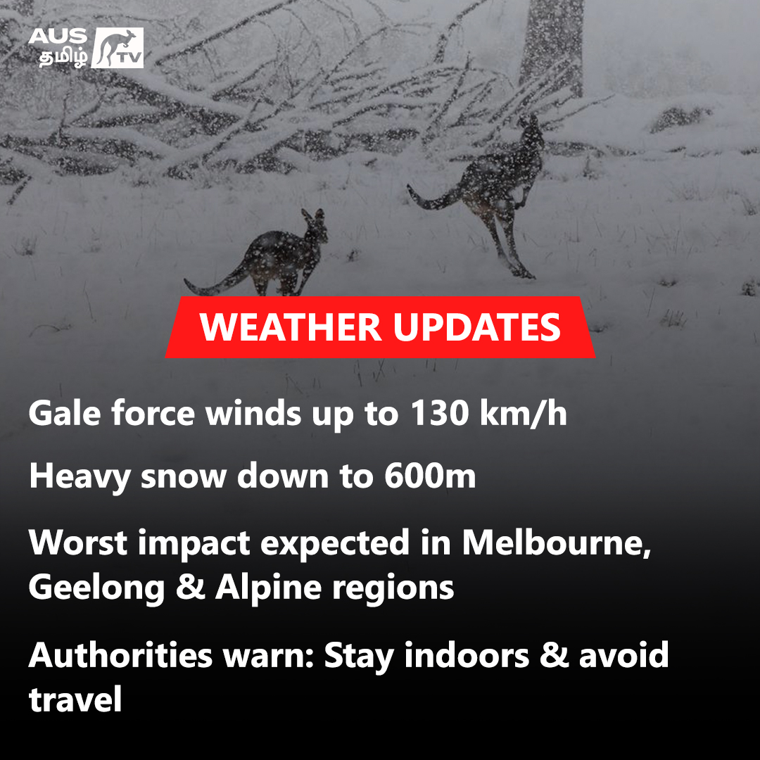 tamil_aus's tweet image. ⚠️ BREAKING: Victoria braces for wild weather! 🌪️ Gale-force winds up to 130 km/h, heavy snow to 600m &amp;amp; major impact in Melbourne, Geelong &amp;amp; Alpine regions.
Authorities urge: stay indoors, secure outdoor items &amp;amp; prepare for power cuts. Stay safe! 🙏

#VICWeather #MelbourneWeather
