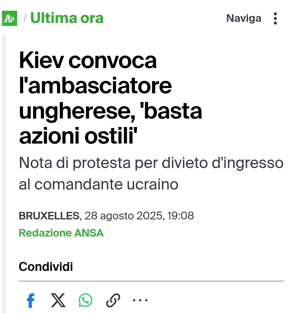 La faccia come il culo