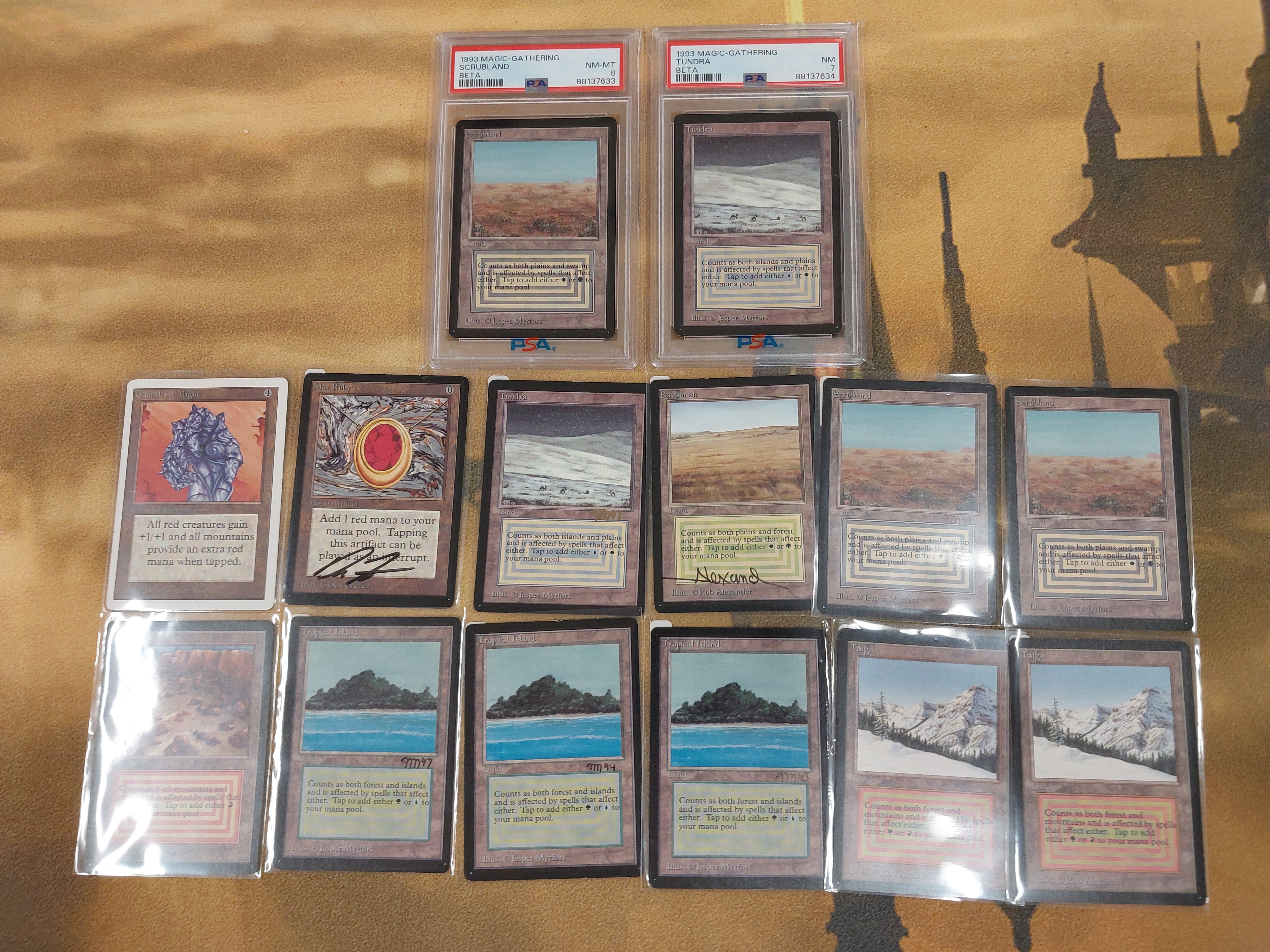 Cardshop Serra＠MtG on X: 
